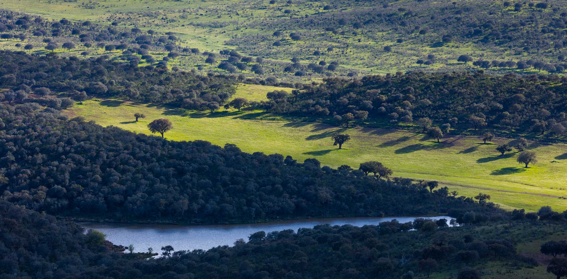 Paisaje de la Sierra de San Pedro, Cáceres, Extremadura, Spain, Europe